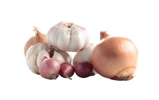 06 Dosing - Weighers (2)